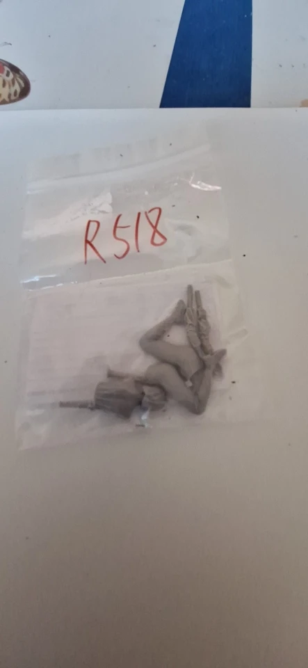 Buyer photo of this resin kit