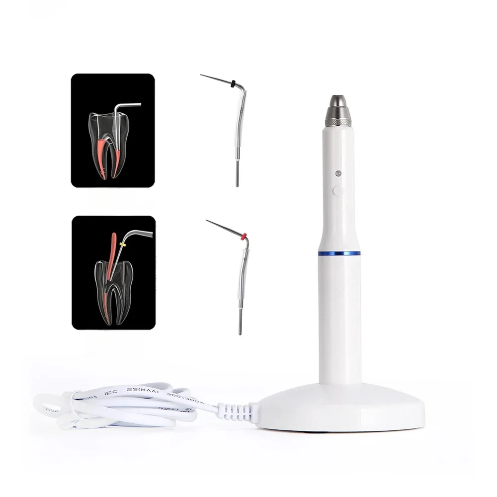 Dental Cordless Gutta Percha System obturacyjny Endo podgrzewany długopis + 2 wskazówki stomatologia Instrument dentysta narzędzia — zdjęcie 2