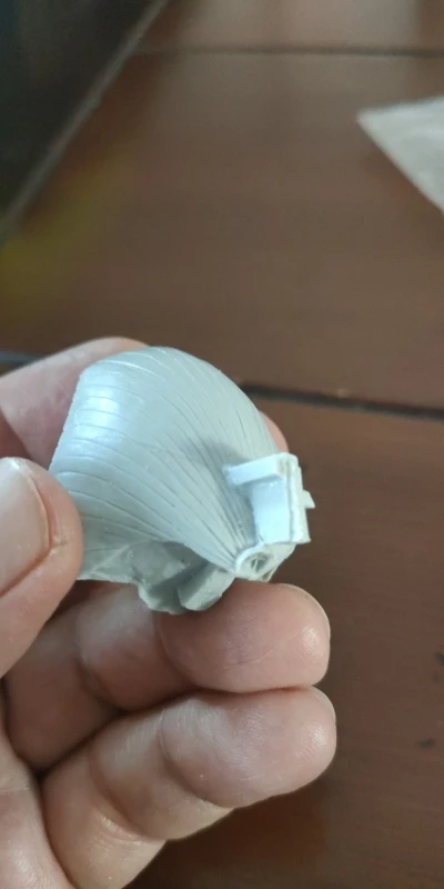 Buyer photo of this resin kit