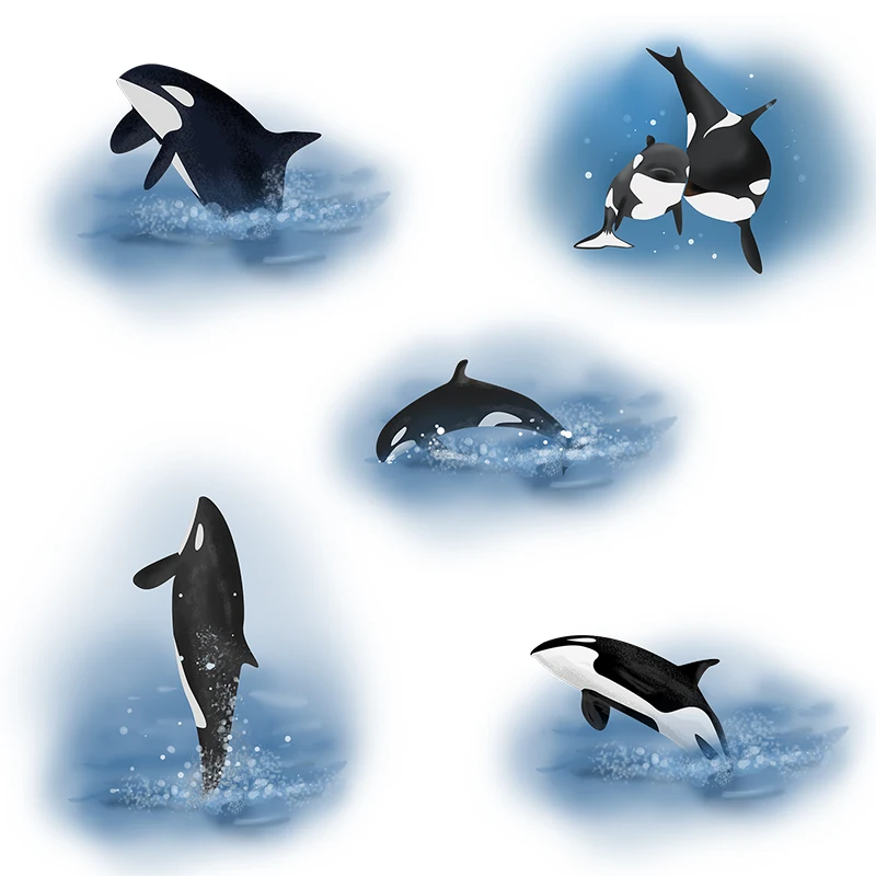 Three Ratels QC385 Friendly marine killer whales Cartoon animal in fiabe adesivi murali per bambini