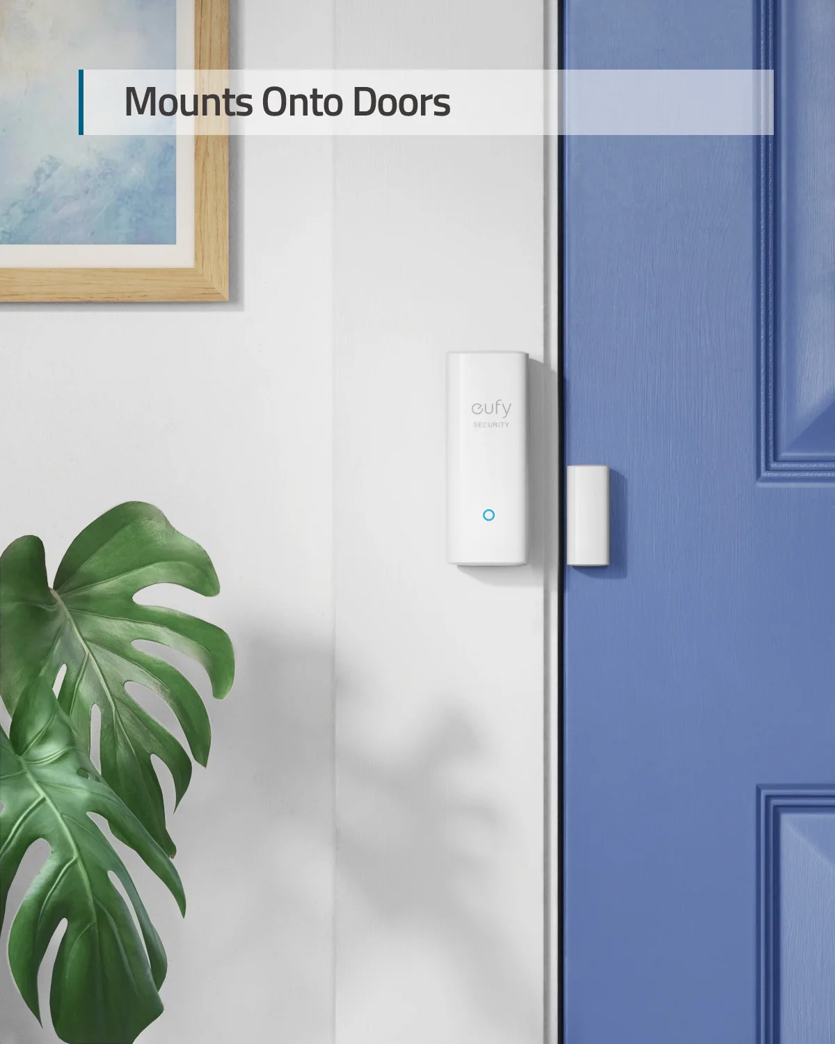 eufy Security Front Door Sensor Detects Smart Home Windows Transmits Alarm Triggers 24/7 Protection Service Requires homebase