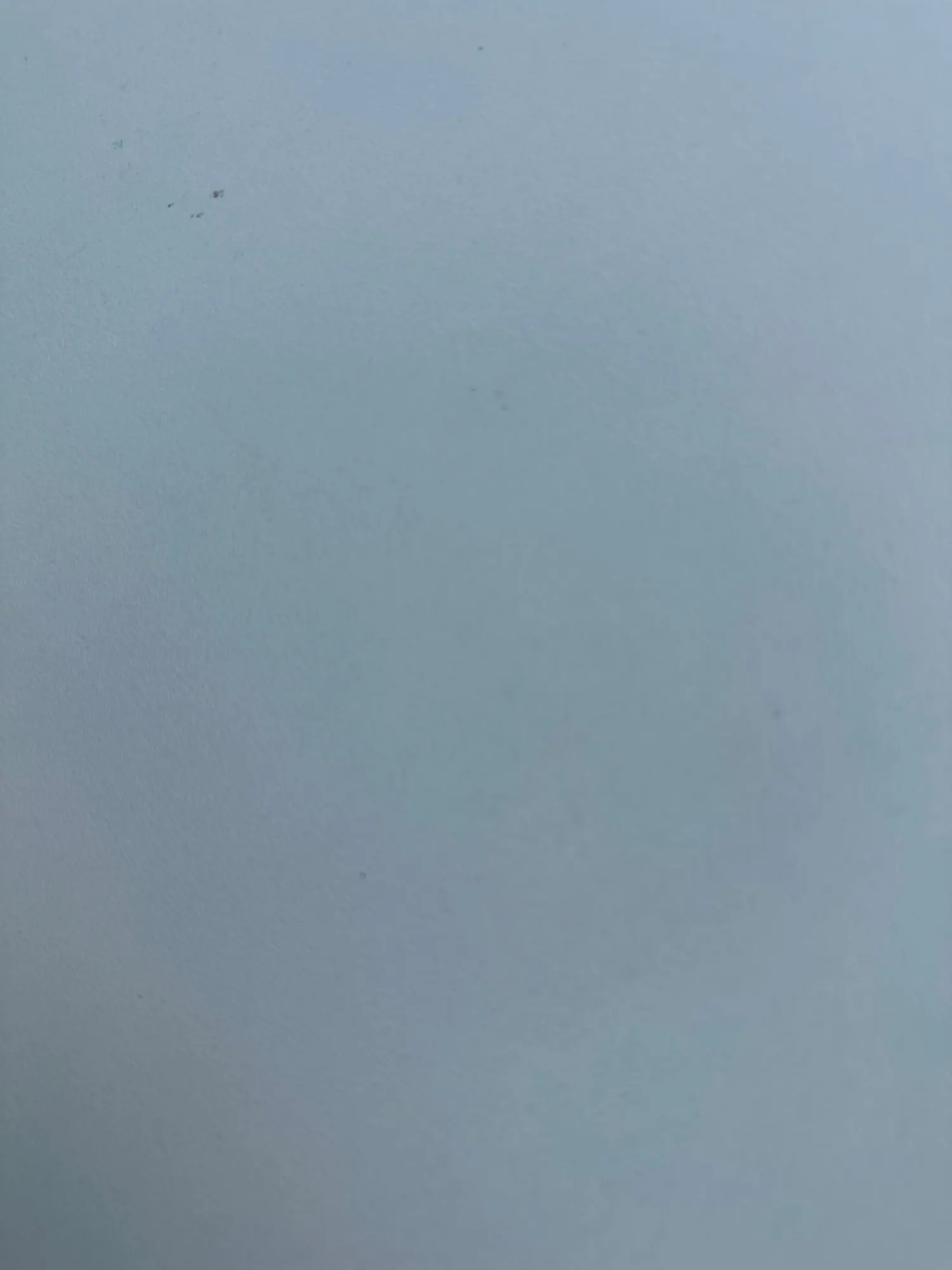 실물 포토 리뷰