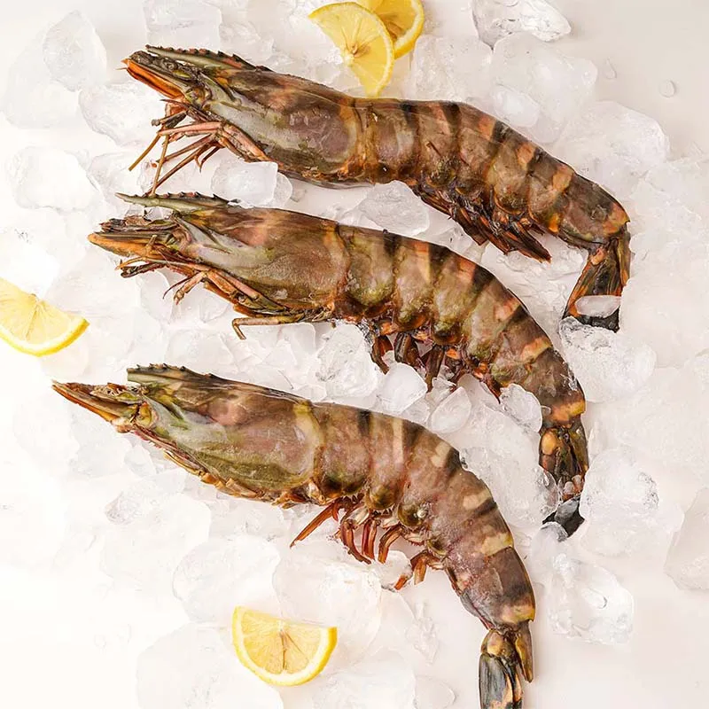 [Water Flavor] Natural King Tiger Shrimp 1kg Besides Black Tiger Shrimp Size Star