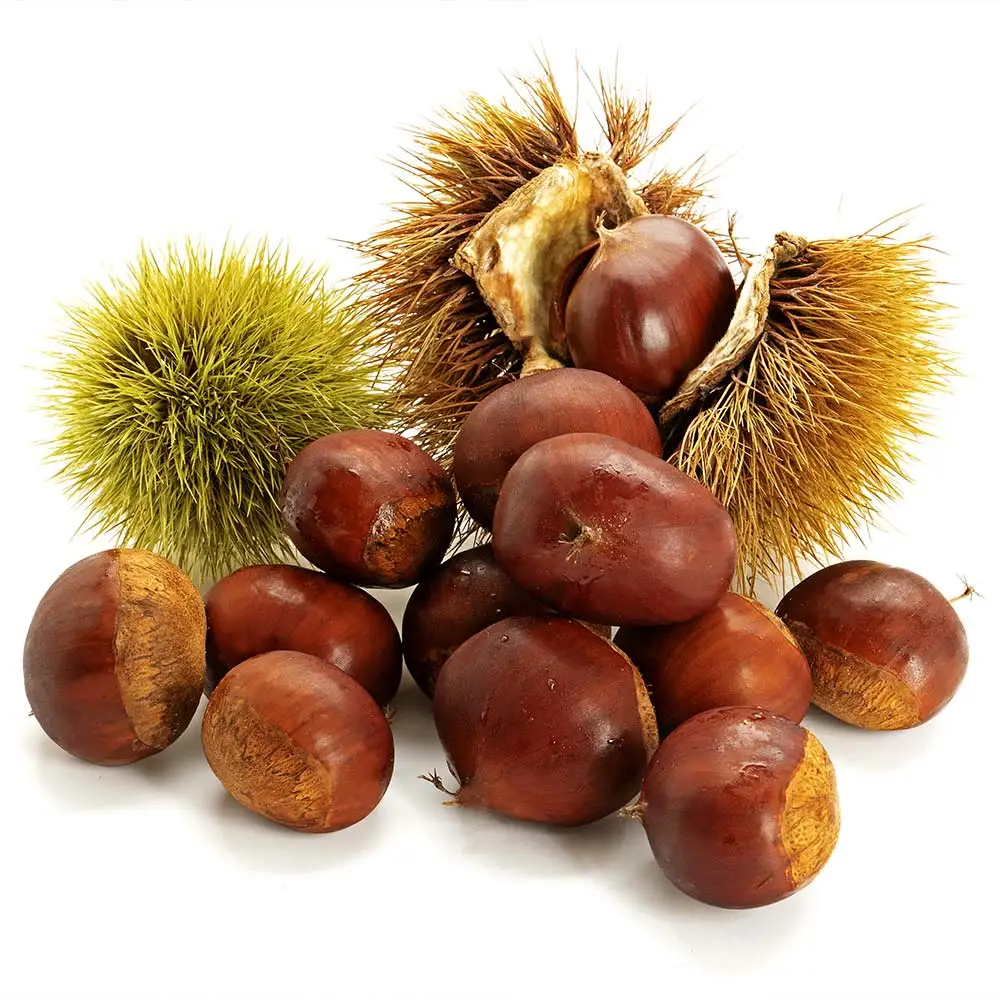 25 años primera cosecha Buyeo castañas medianas/grandes/especial 2kg, 3kg