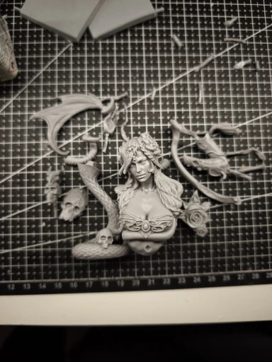 Buyer photo of this resin kit