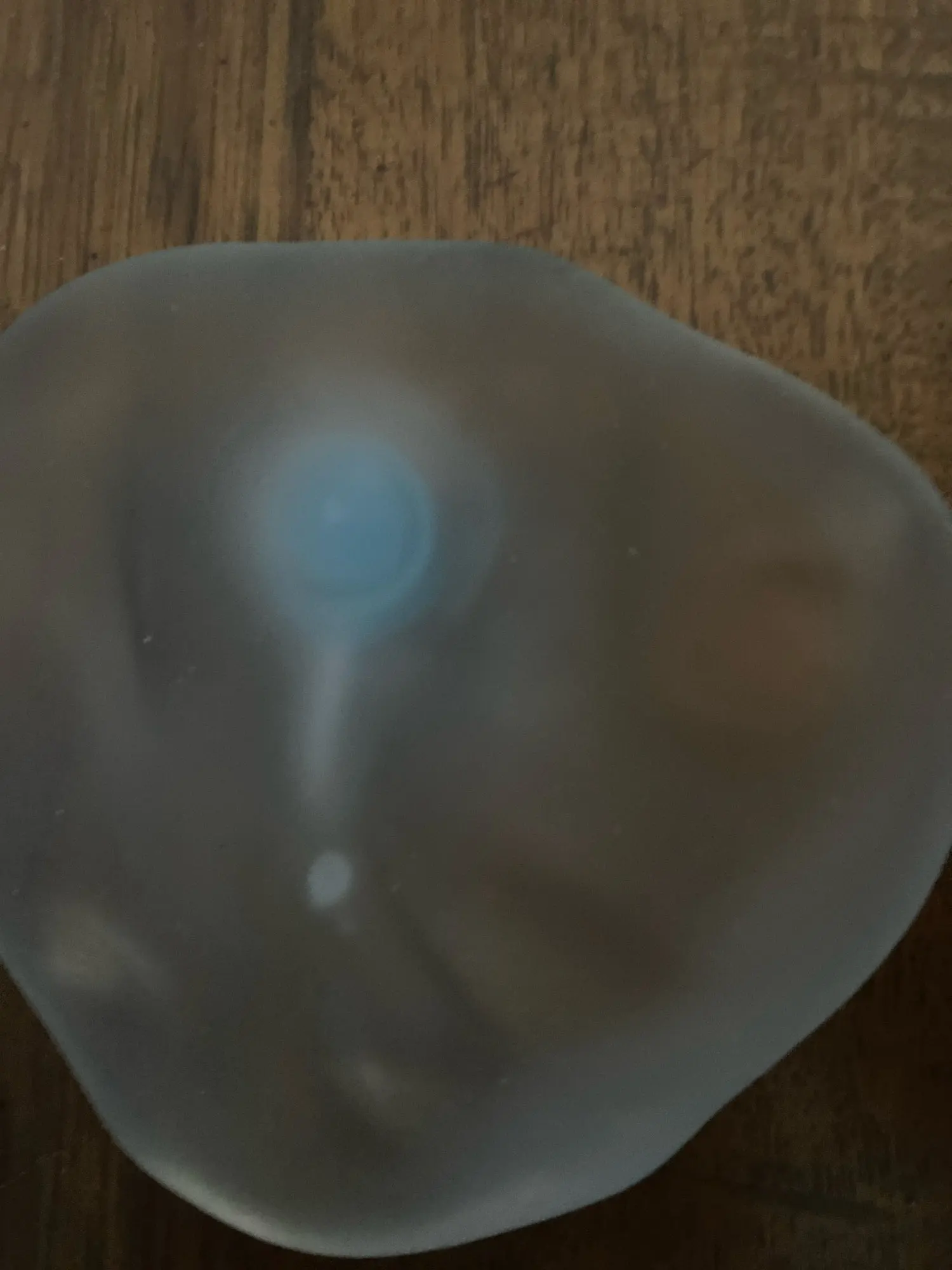 실물 포토 리뷰