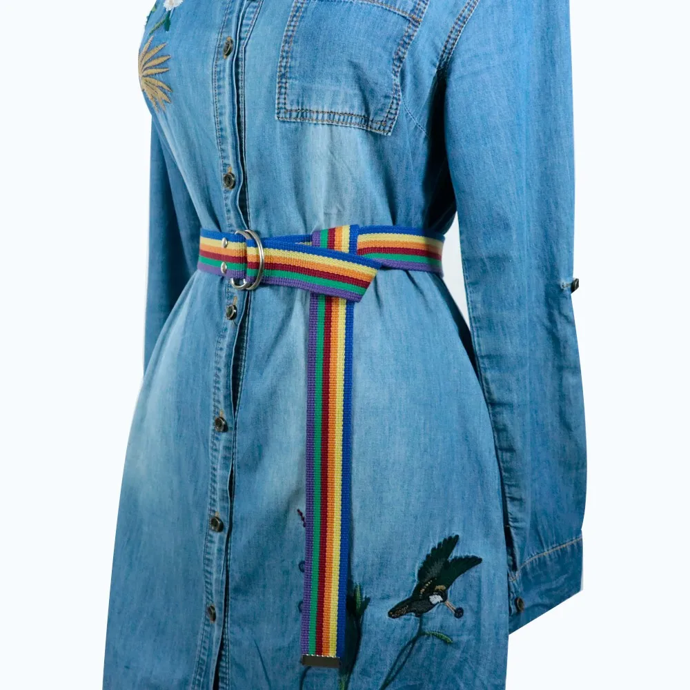 Fashion Design 2023 Rainbow Palaska Silver Color D Shaped Buckle Belt image 5