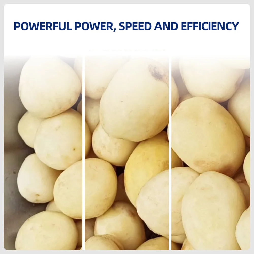 Fully automatic stainless steel peeling machine, commercial potato peeling machine, cleaning the peeling machine