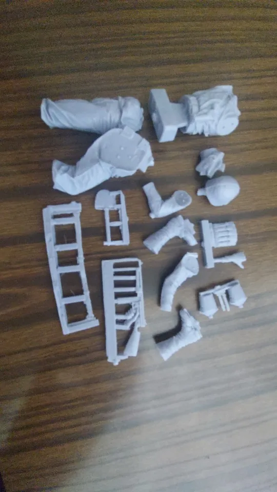 Buyer photo of this resin kit