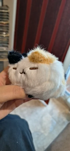 리뷰 사진