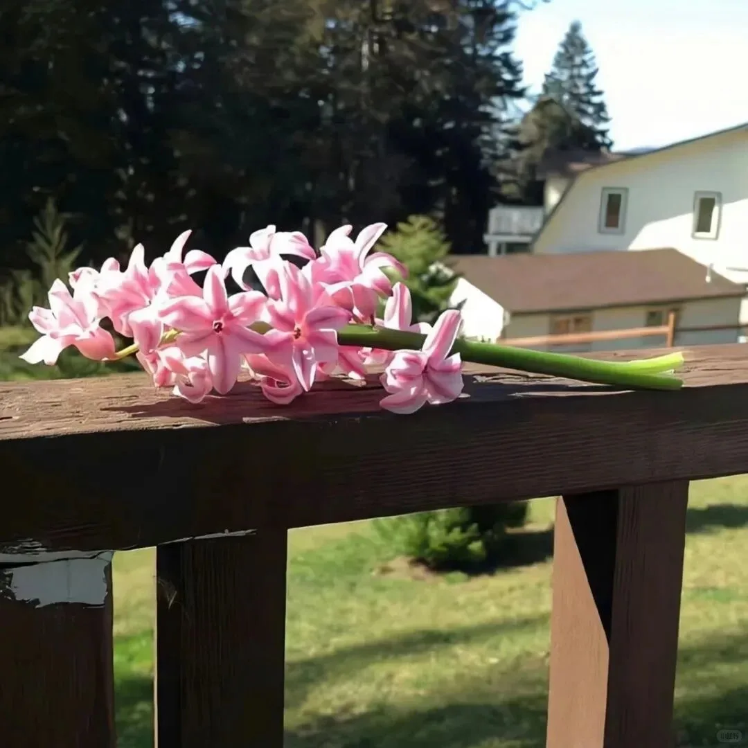 

New Arrivals Cryolipolysis Fat Weight Loss 360 Flat Cryolipolysis with EMS Electrical Muscle Stimulation Eliminate the Abdomen