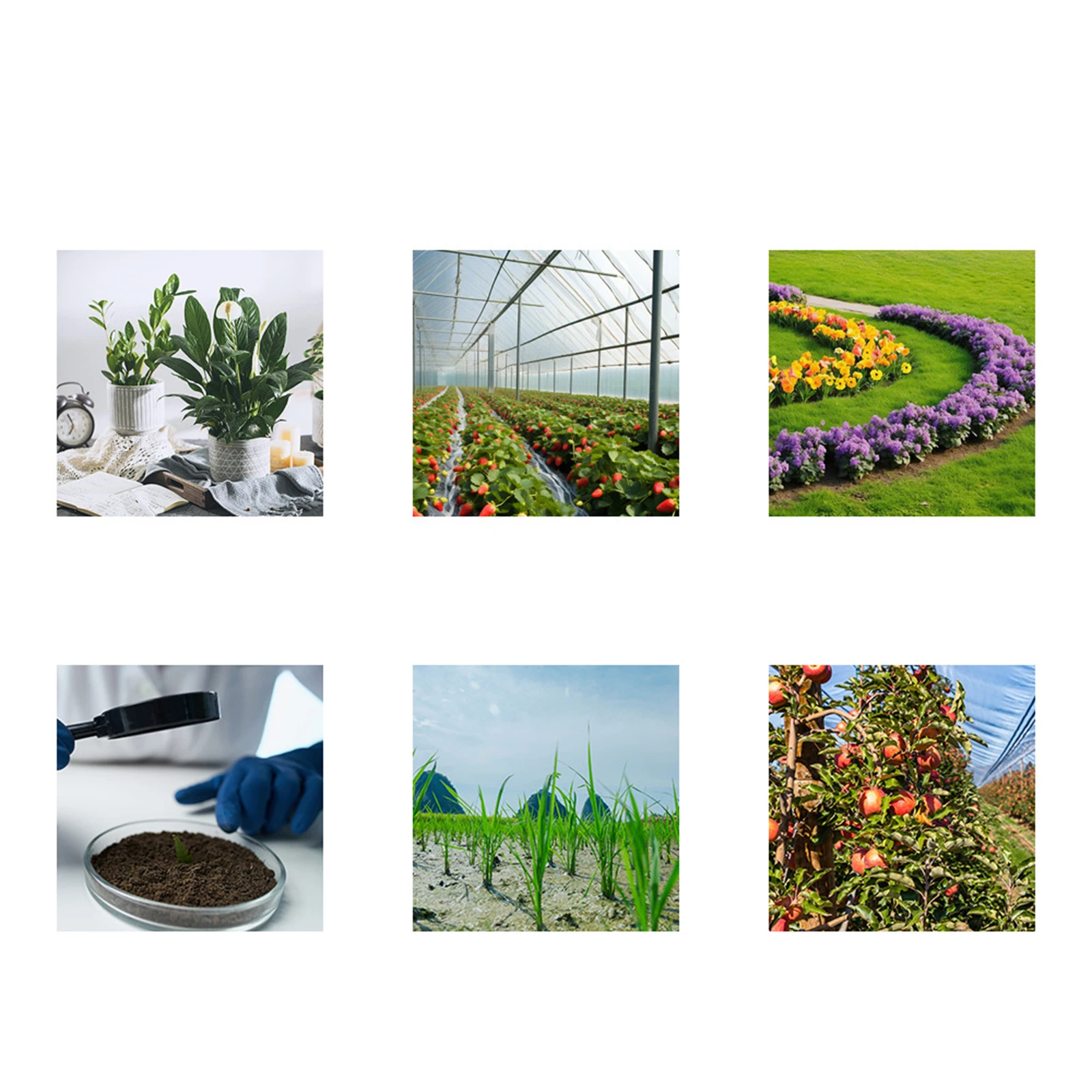 2-in-1 الرقمية رطوبة التربة جهاز قياس درجة الحموضة مسبار معدني لزراعة المجالات الزراعية حديقة النباتات قياس رطوبة التربة مستوى درجة الحموضة