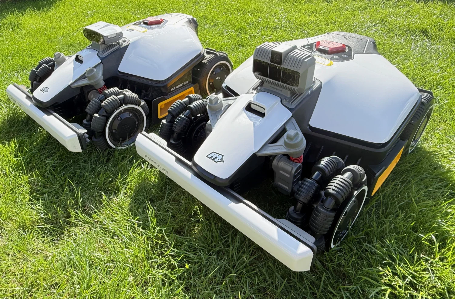 Best Sales 2026 Mam… - image