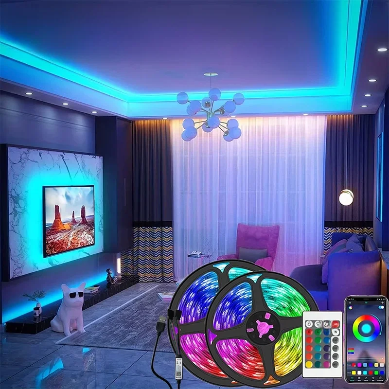 Bande lumineuse LED USB 5V, 1-30M, avec télécommande Bluetooth 24 touches, bande de lampe Flexible RGB pour décoration de chambre, Diode de rétro-éclairage TV