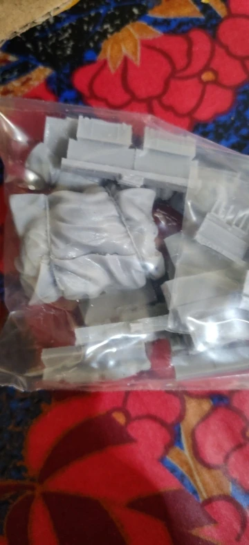 Buyer photo of this resin kit