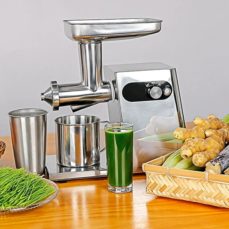Slow Masticating Juicer with Easy to Clean Ginger Cane Celery Juice Machine Cold Press Juicer