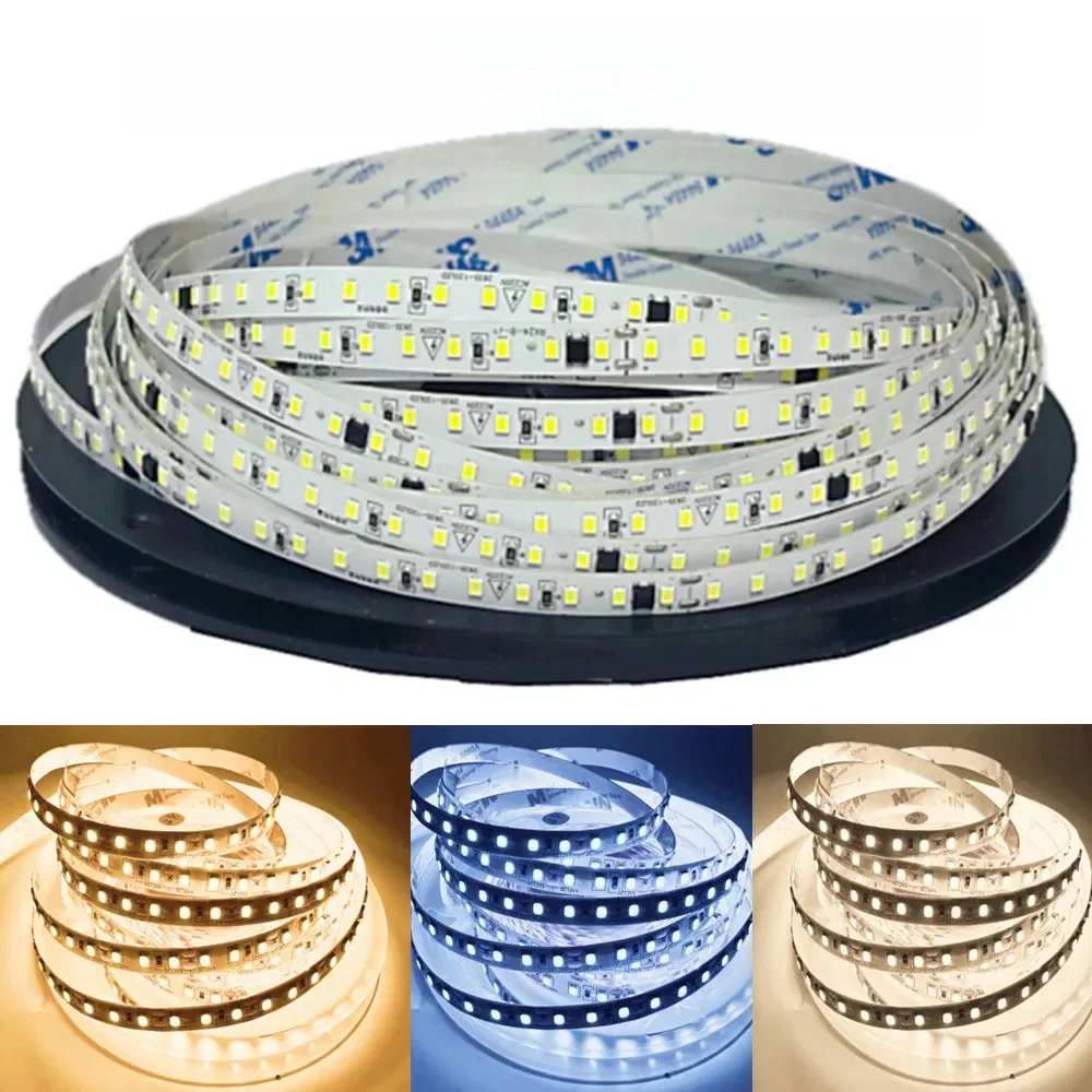 Bande lumineuse LED 5m 10m 20m 220V, 230V SMD 2835 120LED s/M, bande Flexible découpable, éclairage intérieur blanc froid/naturel/chaud
