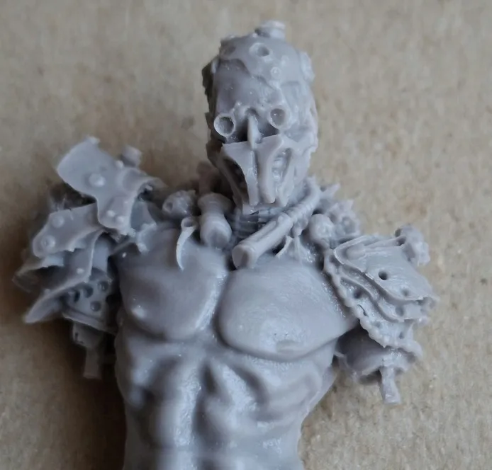 Buyer photo of this resin kit