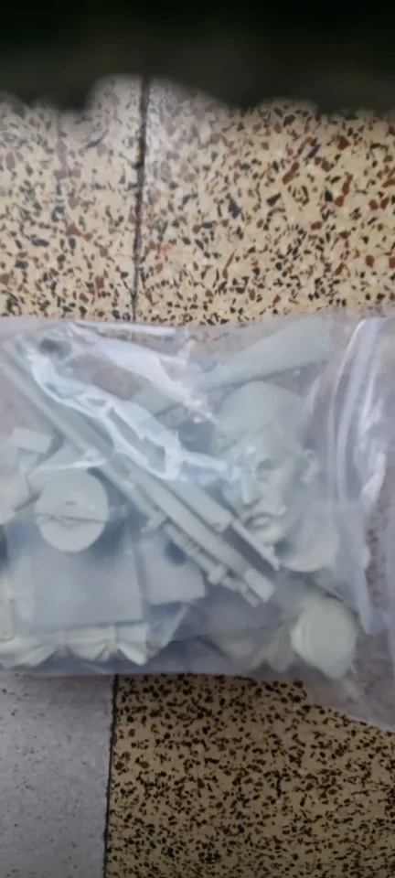 Buyer photo of this resin kit