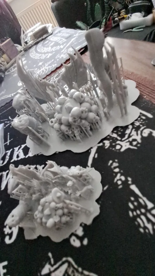 Buyer photo of this resin kit