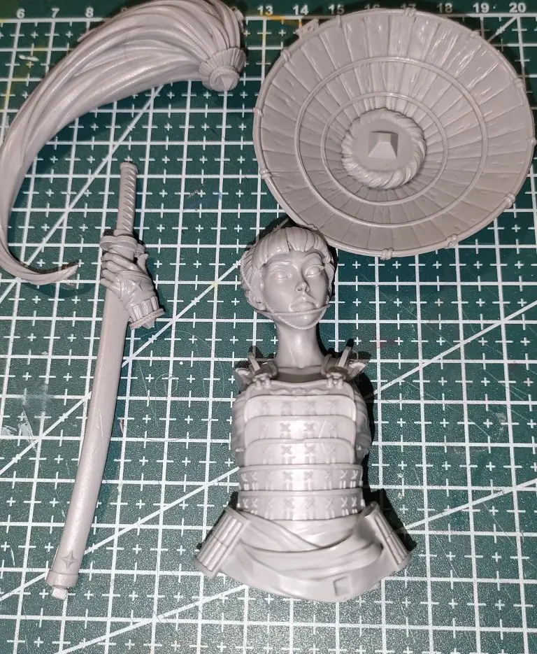 Buyer photo of this resin kit