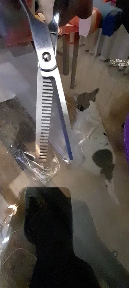 구매후기