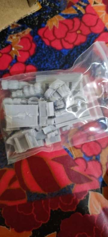 Buyer photo of this resin kit
