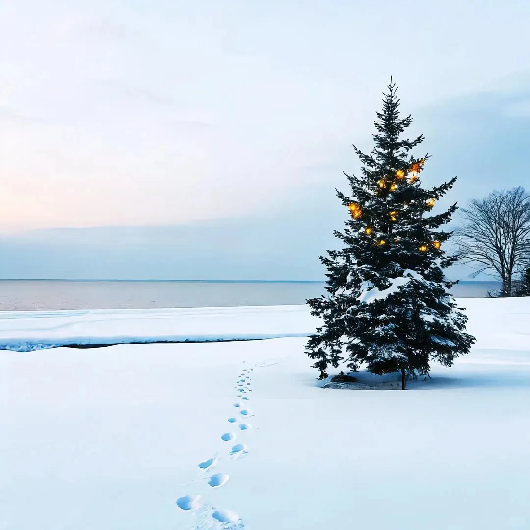 

Vacuum Slimming Machine for Home Use Spa Weight Loss Fat Burning Eye Area Targeting Beauty Salon Use Slimming System Machine