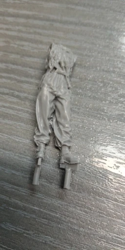 Buyer photo of this resin kit