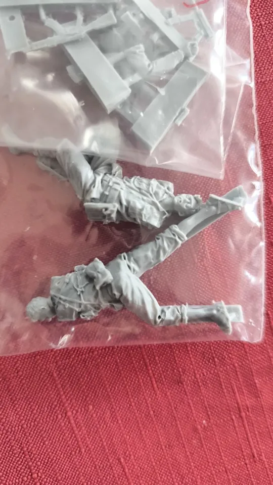 Buyer photo of this resin kit