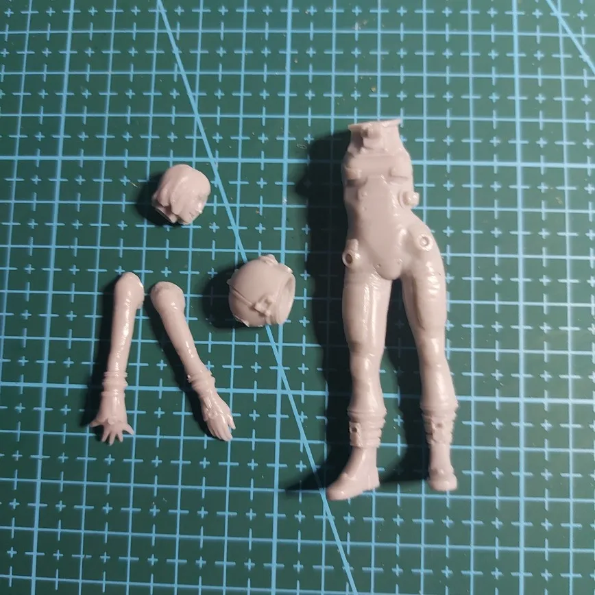 Buyer photo of this resin kit