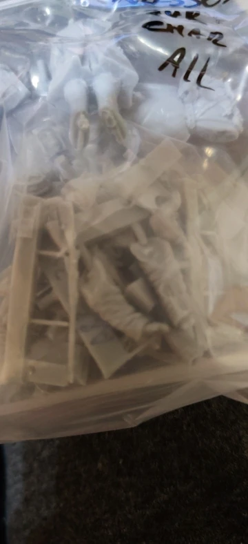 Buyer photo of this resin kit