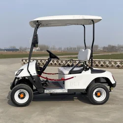 Migliore qualità e la migliore vendita disabili Single Seat carrello da Golf elettrico a quattro ruote Scooter elettrico 350cc carburante motore raffreddato ad acqua