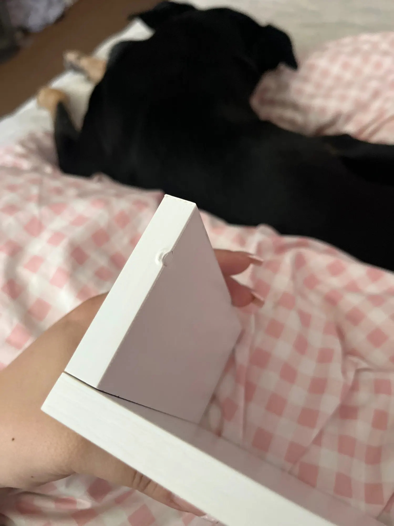 Customer review photo