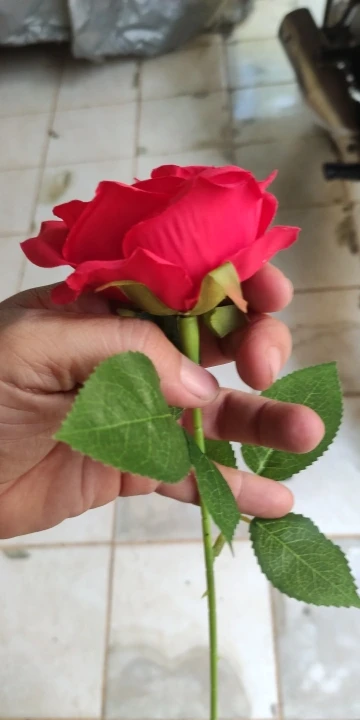 리뷰 사진