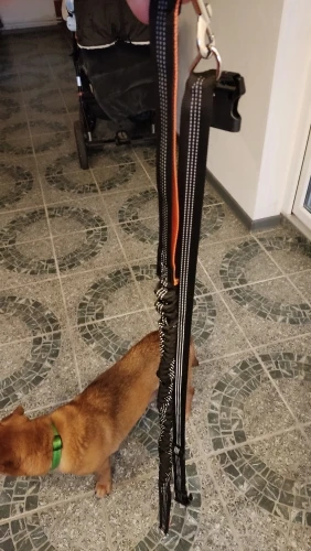 Customer review photo for Hands-Free Bungee Dog Leash with Adjustable Waist Belt