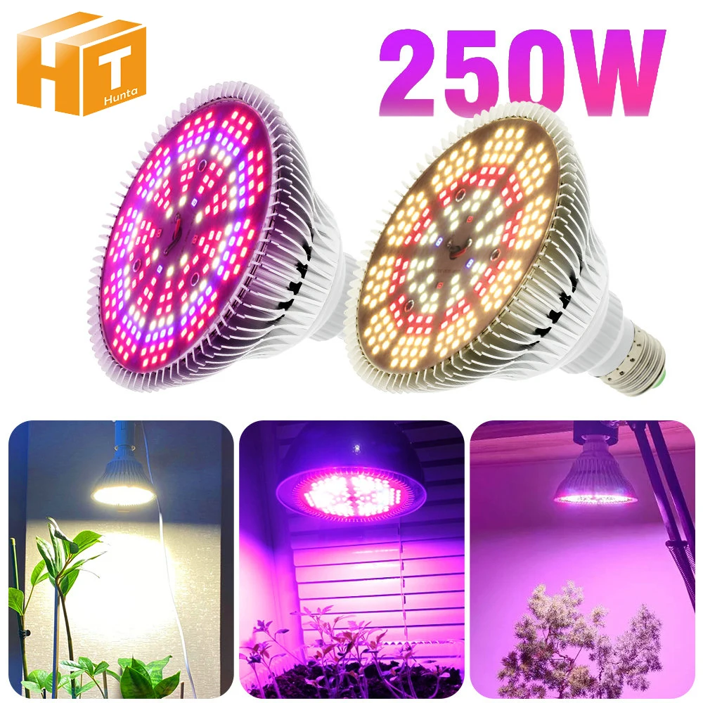 Full Spectrum LED cresce a luz para estufa, legumes e flores, 200LEDs, SMD2835, AC85, 265V, 3000K, 5000K, E27, 250W