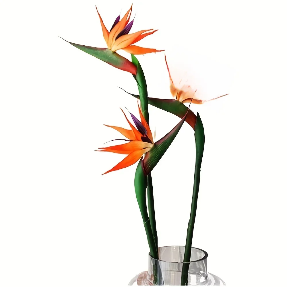 3pcs Kunstmatige Paradijsvogel Bloemen Rubber Strelitzia 24.5 ''Lange Steel Bloem Geschikt Voor DIY Home Party Thema decor - afbeelding 2