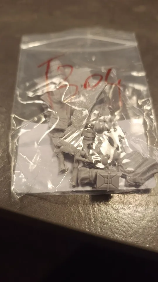 Buyer photo of this resin kit