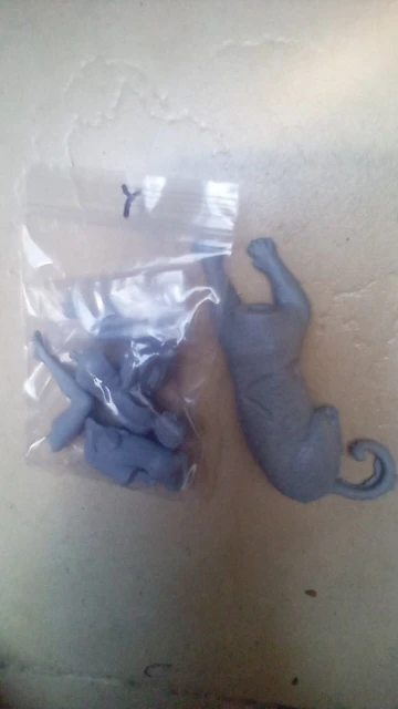 Buyer photo of this resin kit