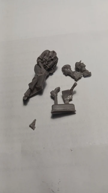 Buyer photo of this resin kit