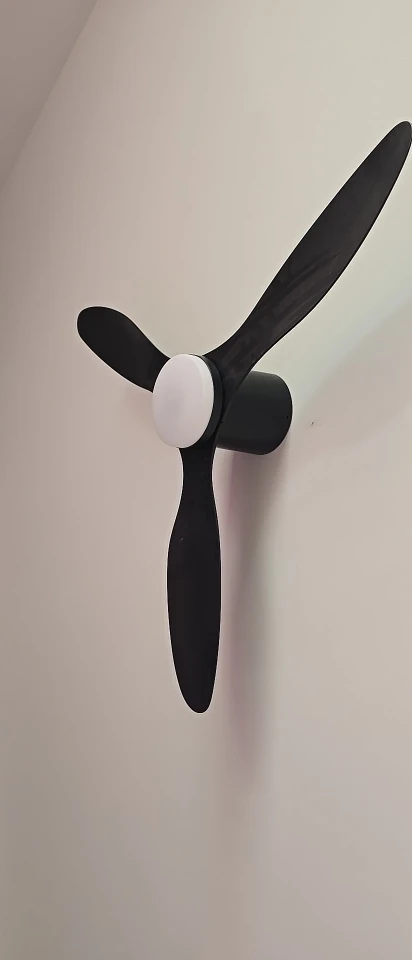 실물 포토 리뷰