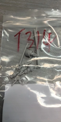Buyer photo of this resin kit