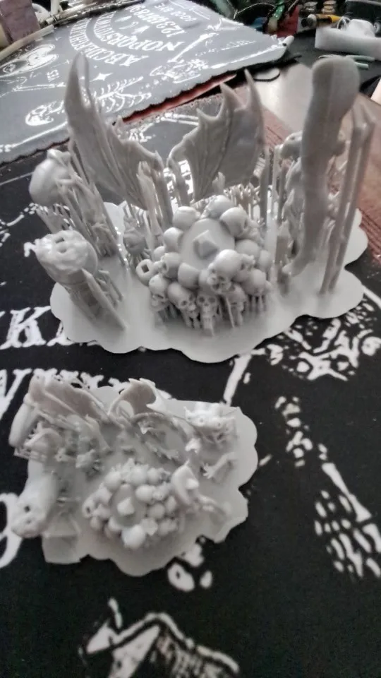Buyer photo of this resin kit