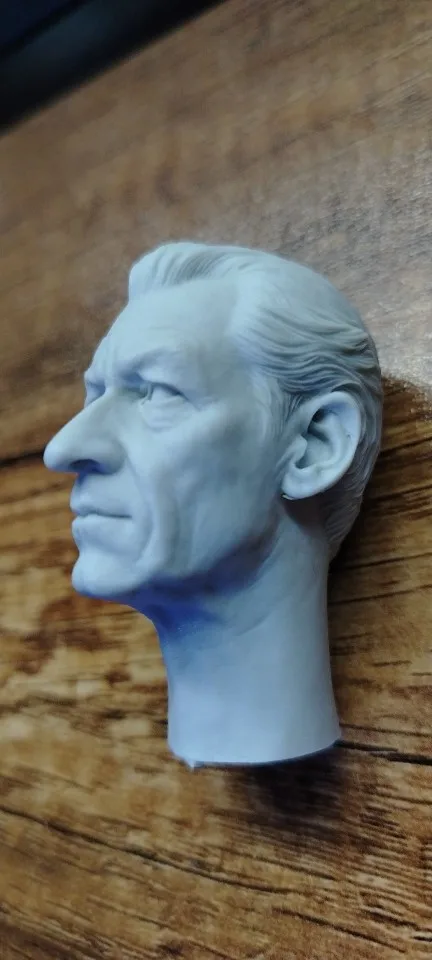 Buyer photo of this resin kit