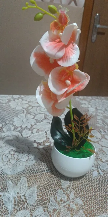 Customer photo