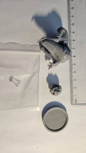 Buyer photo of this resin kit