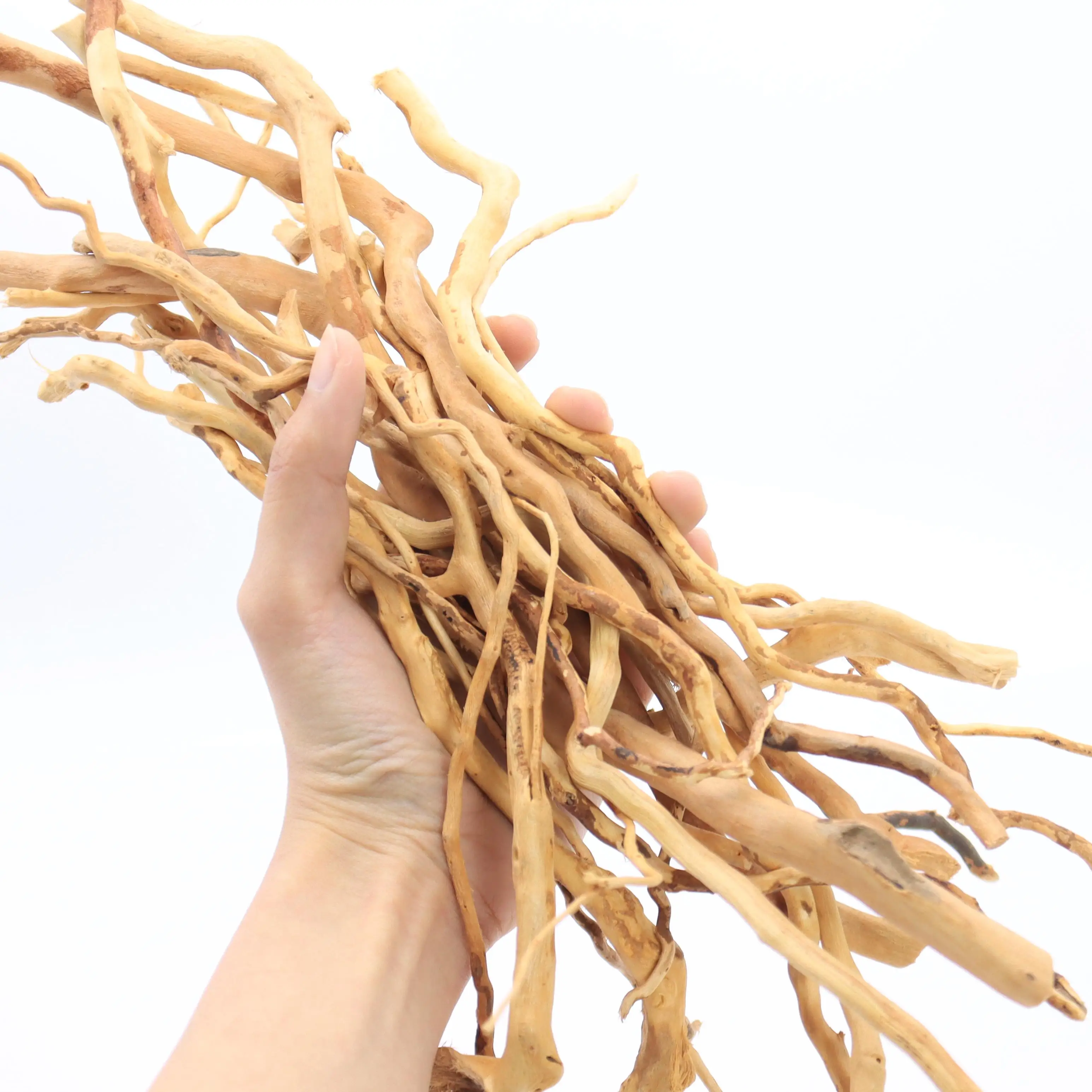 Aquarium Plant Liquid Fertilizer - 100g 天然流木根のミックス、水槽の装飾に最適、魚タンク、淡水水草タンク、テラリウム、フェアリーガーデンに最適