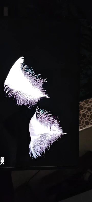 실물 포토 리뷰