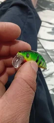 Imagen de reseña 2